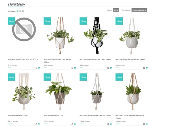 Easyplants - CCV Shop